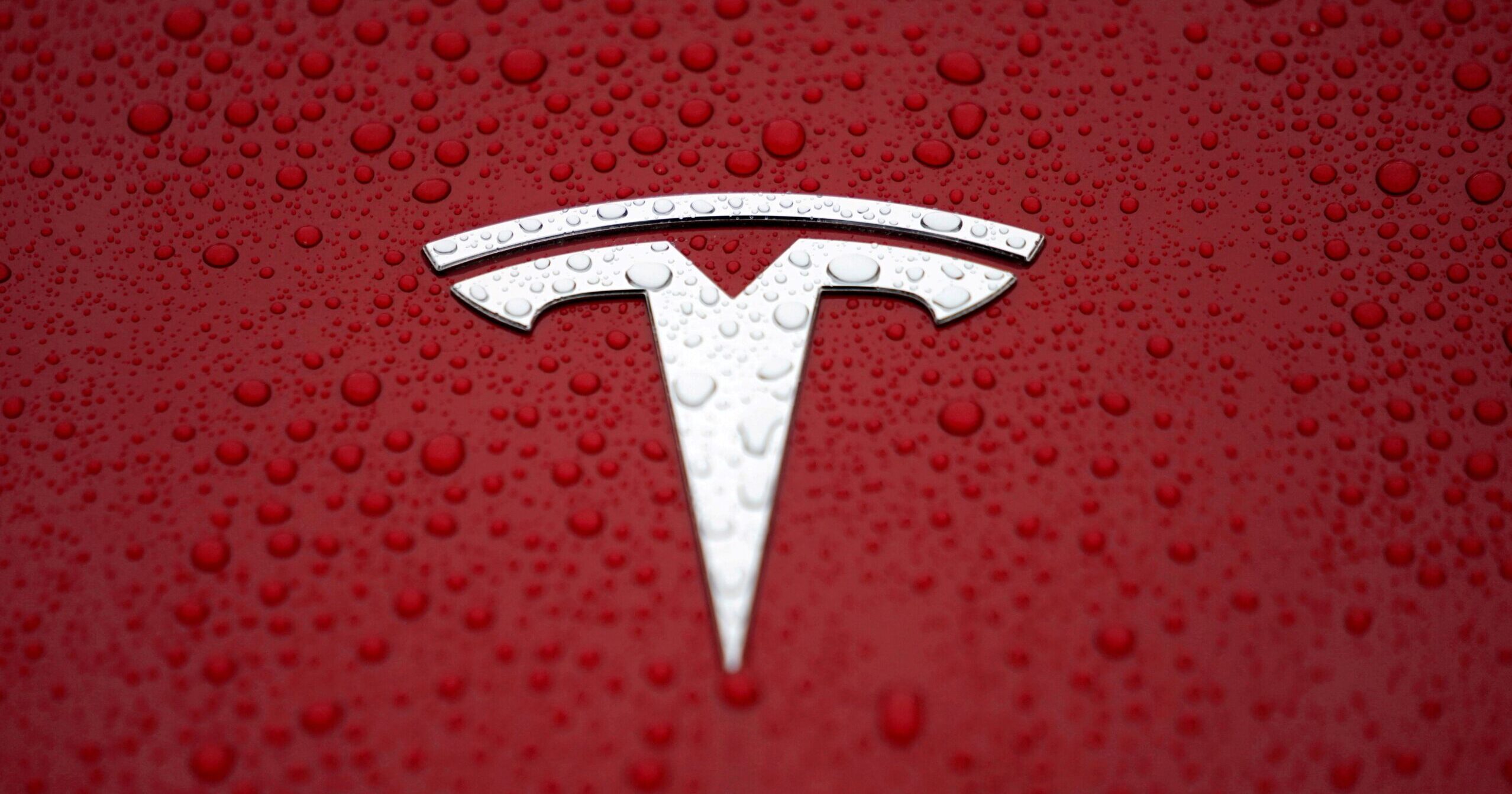 Tesla stock chart showing real-time price and market trends