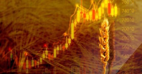 Wheat Price Forecast, Live Chart, Futures!